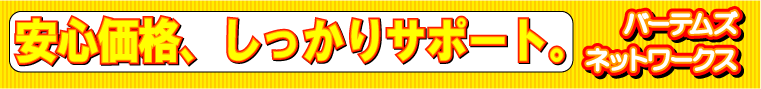 バーテムズネットワークス